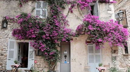 Maison 8 chambres